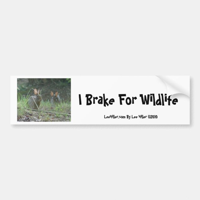 Wild Rabbits Eastern Cottontail Pair Apparel Gifts Bumper Sticker (Front)