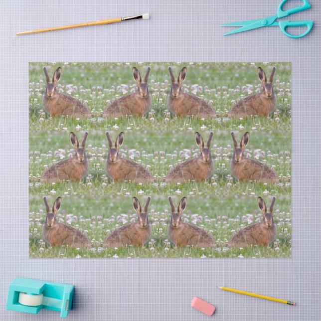 Wild Rabbits Sitting in Clover Tissue Paper (Craft)