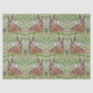 Wild Rabbits Sitting in Clover Tissue Paper