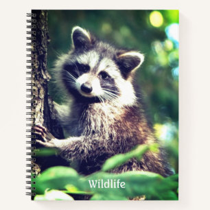 Wild Raccoon on the Jungle Notebook
