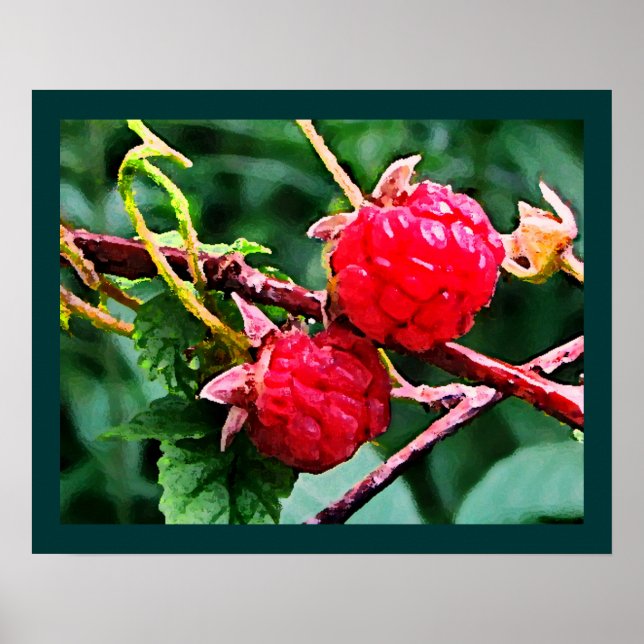 Wild Raspberries Poster (Front)