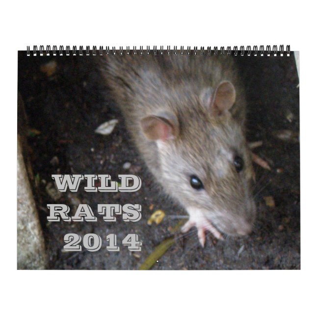 Wild Rats 2014 Calendar (Cover)