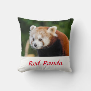 Wild Red Panda Nature Photo Throw Pillow