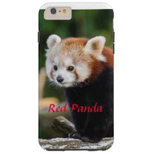 Wild Red Panda Snowy Log Photo Tough iPhone 6 Plus Case