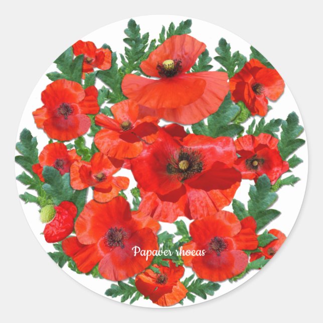 Wild Red Poppies Classic Round Sticker (Front)