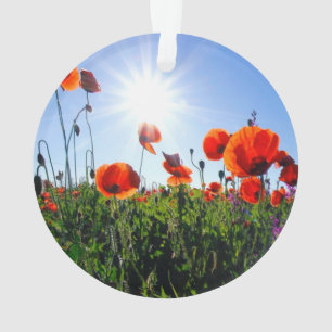 Wild Red Poppies Flowers Ornament