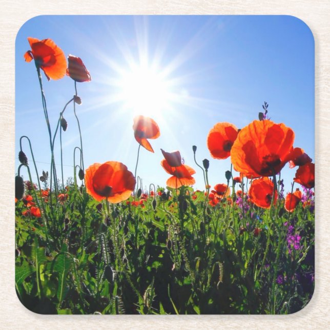Wild Red Poppies Flowers Square Paper Coaster (Front)