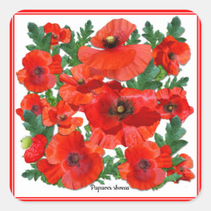 Wild Red Poppies Square Sticker