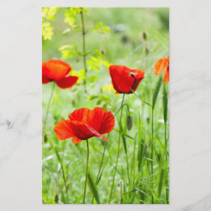 Wild red poppy flower flyer