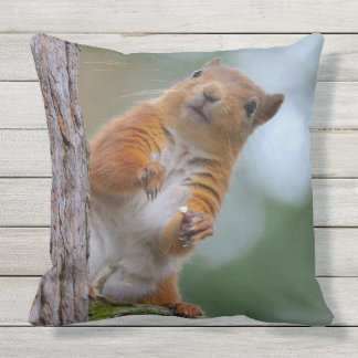 Wild Red Squirrel in the Scottish Highlands Photo Throw Pillow