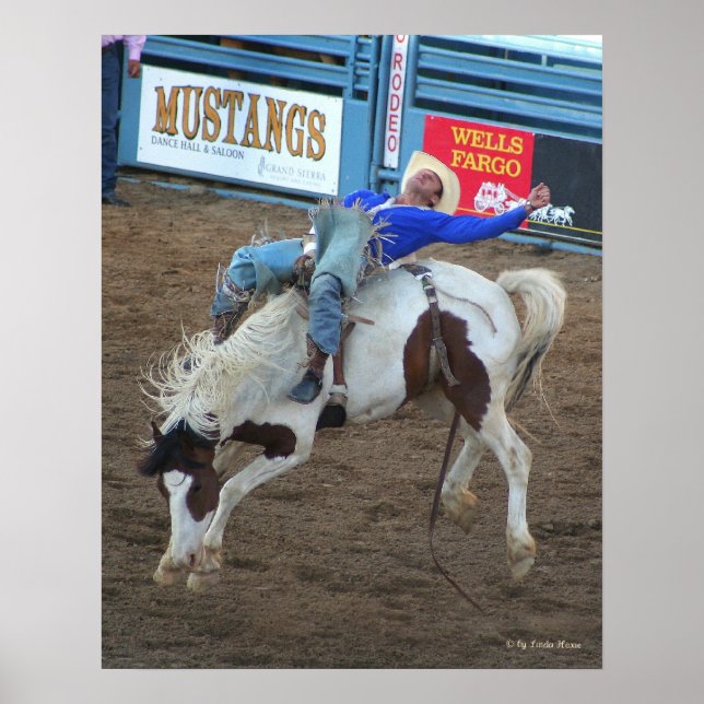 Wild Ride - Reno Rodeo 2010 Poster (Front)