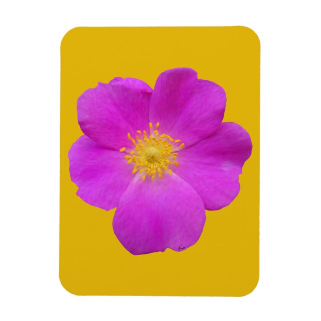 Wild Rose 2 Magnet (Vertical)
