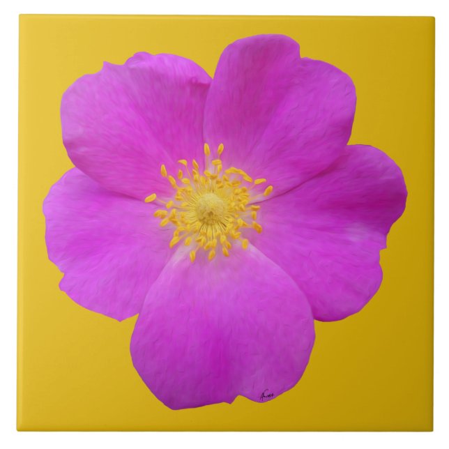 Wild Rose 2 Tile (Front)