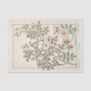 Wild Rose Botanical  Floral Vintage Decoupage Pink Tissue Paper