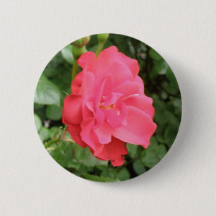 Wild Rose Button