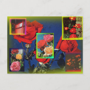 Wild Rose Collage Postcard