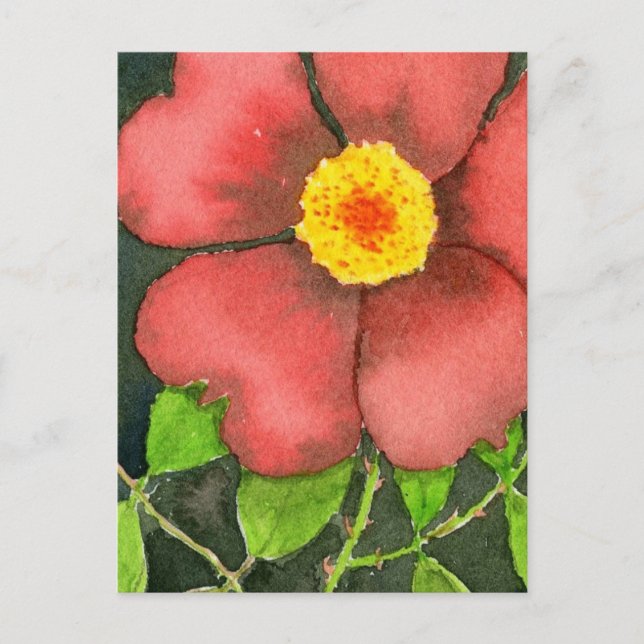 Wild Rose Floral Postcard (Front)