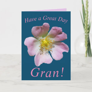 Wild Rose Flower Birthday Card for Gran