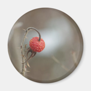 Wild Rose Fruit Magnet