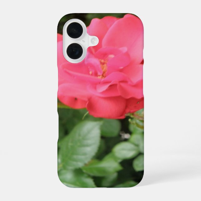 Wild Rose iPhone 16 Case (Back)