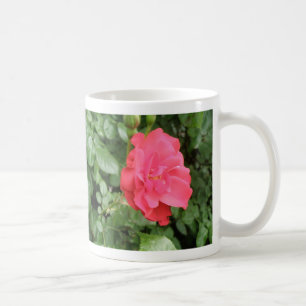 Wild Rose Mug