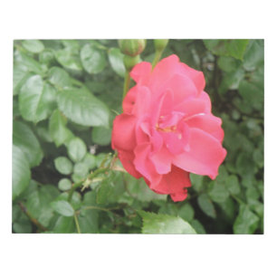 Wild Rose Notepad