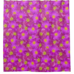 Wild Rose Seamless Pattern