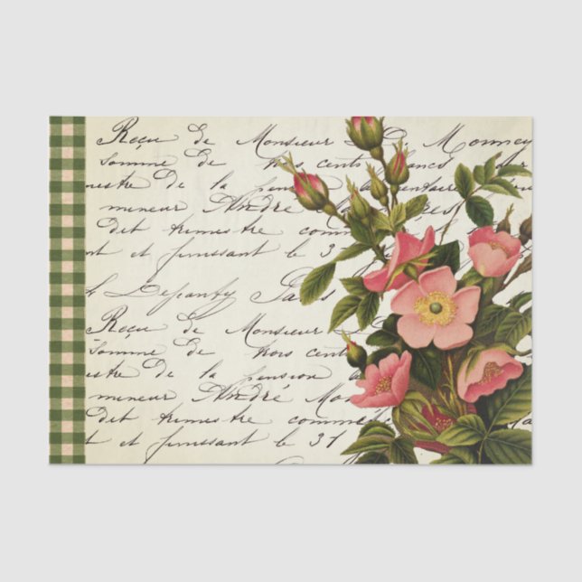 Wild Rose Vintage French Script Check Tissue Paper (Front)