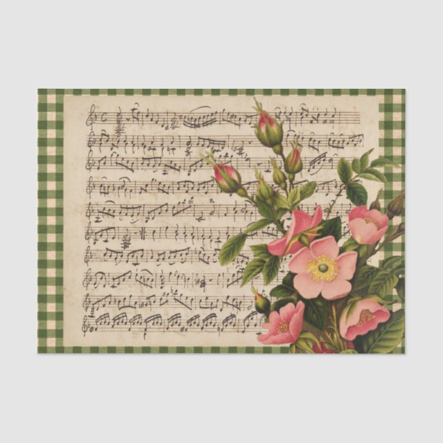 Wild Rose Vintage Sheet Music Check Tissue Paper (Front)