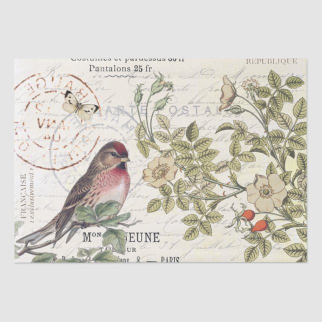 Wild Roses Carte Postale Songbird French Script  Tissue Paper (Front)