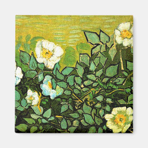 Wild Roses, famous painting by Van Gogh Magnet