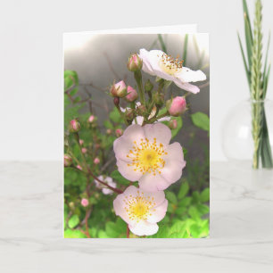 Wild Roses for Mother's Day Card