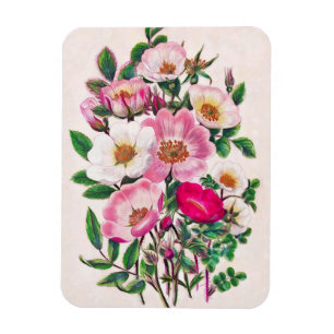 Wild Roses Magnet