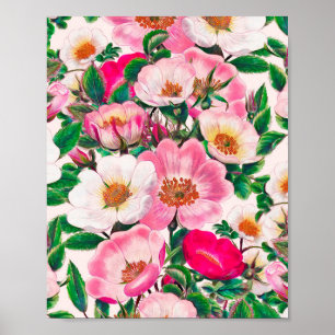 Wild Roses Poster