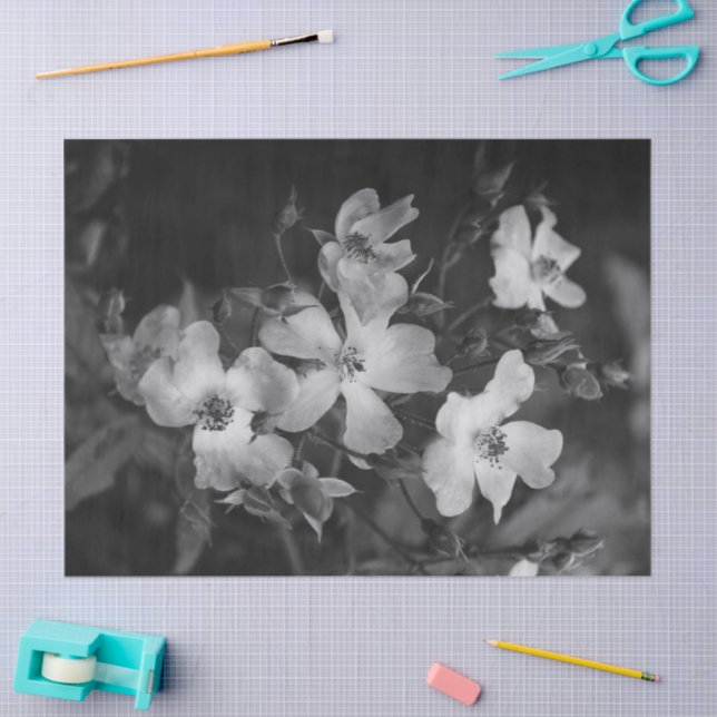 Wild roses  tissue paper (Craft)