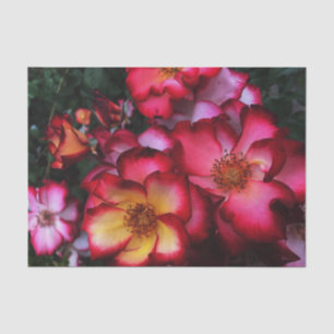 Wild Roses Tissue Paper