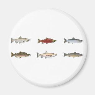 Wild Salmon Magnet