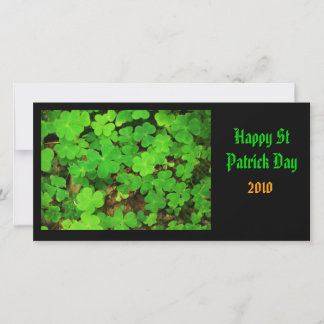 Wild Shamrocks