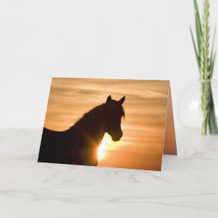 Wild Silhouette Wild Horse Greeting Card