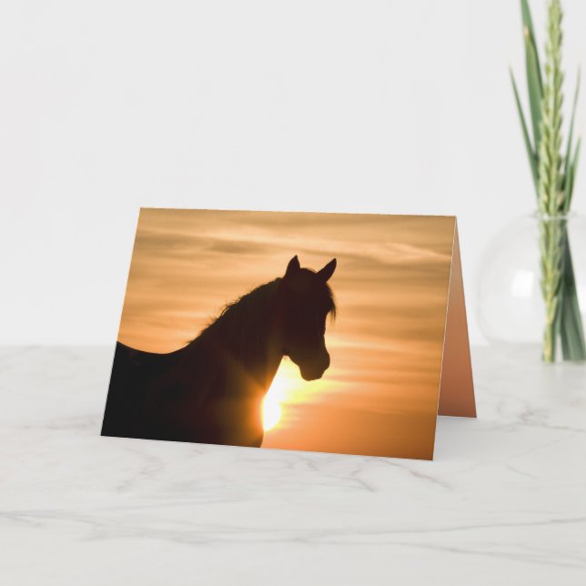 Wild Silhouette Wild Horse Greeting Card (Front)