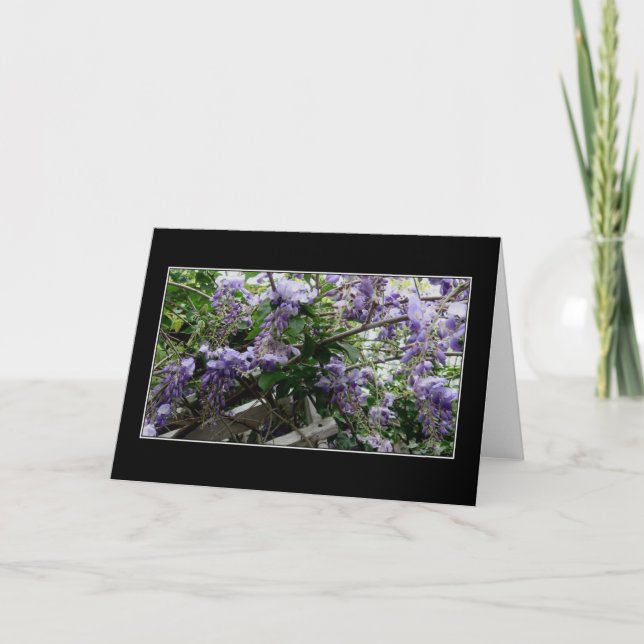 Wild Spring Card (Front)