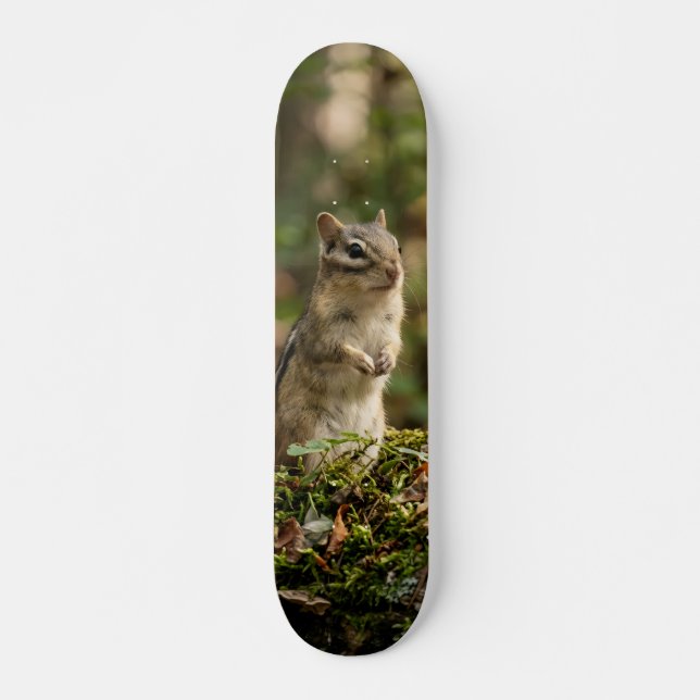 Wild Squirrel Alert Skateboard (Front)