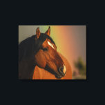 Wild Stallion, Golden Light and Rainbow Canvas Print<br><div class="desc">Wild Stallion,  Golden Light and Rainbow</div>