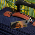 Wild Stallion, Golden Light and Rainbow Luggage Tag<br><div class="desc">Wild Stallion,  Golden Light and Rainbow</div>
