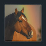 Wild Stallion, Golden Light and Rainbow Magnet<br><div class="desc">Wild Stallion, Golden Light and Rainbow</div>