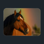 Wild Stallion, Golden Light and Rainbow Magnet<br><div class="desc">Wild Stallion, Golden Light and Rainbow</div>