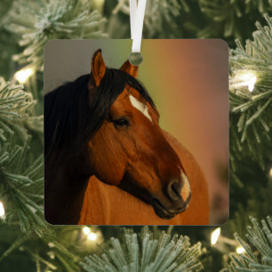 Wild Stallion, Golden Light and Rainbow Metal Ornament