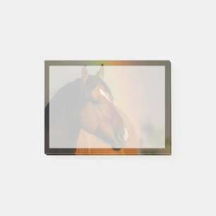 Wild Stallion, Golden Light and Rainbow Post-it Notes