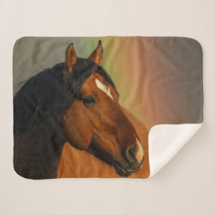Wild Stallion, Golden Light and Rainbow Sherpa Blanket