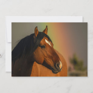Wild Stallion, Golden Light and Rainbow Thank You Card